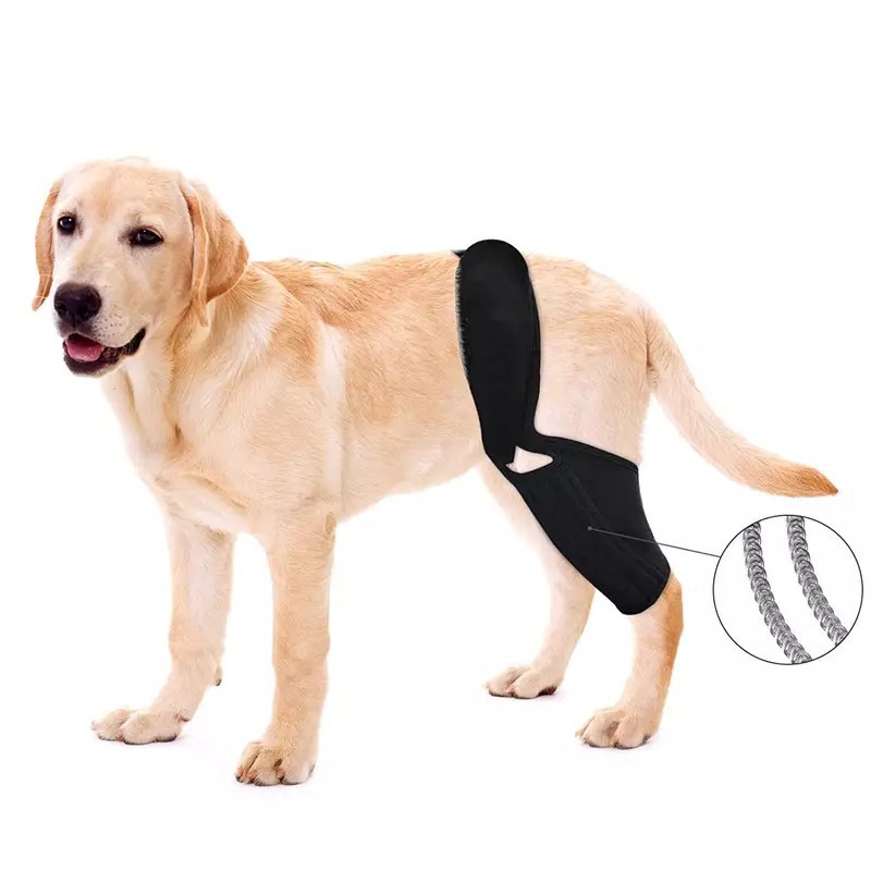 Penyangga Lutut Anjing yang Da - Car Accessories For Elderly ulasan dan harga