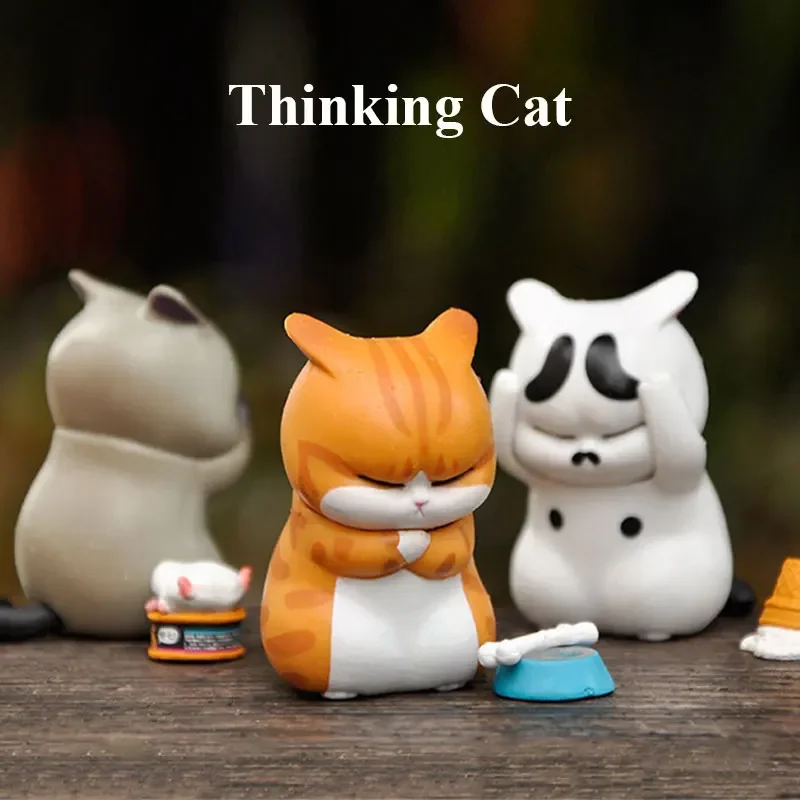 Kotak Misteri Kucing Pemikir,  - Car Accessories Girl ulasan dan harga