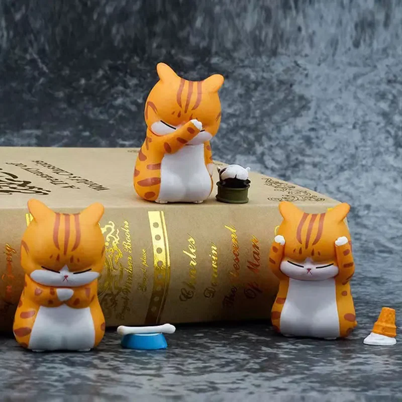 Kotak Misteri Kucing Pemikir,  - Car Accessories Girl ulasan dan harga